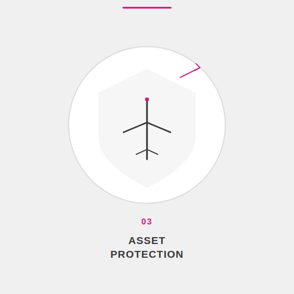 Asset Protection