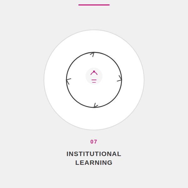 Institutional learning